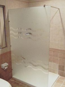 Glass shower door